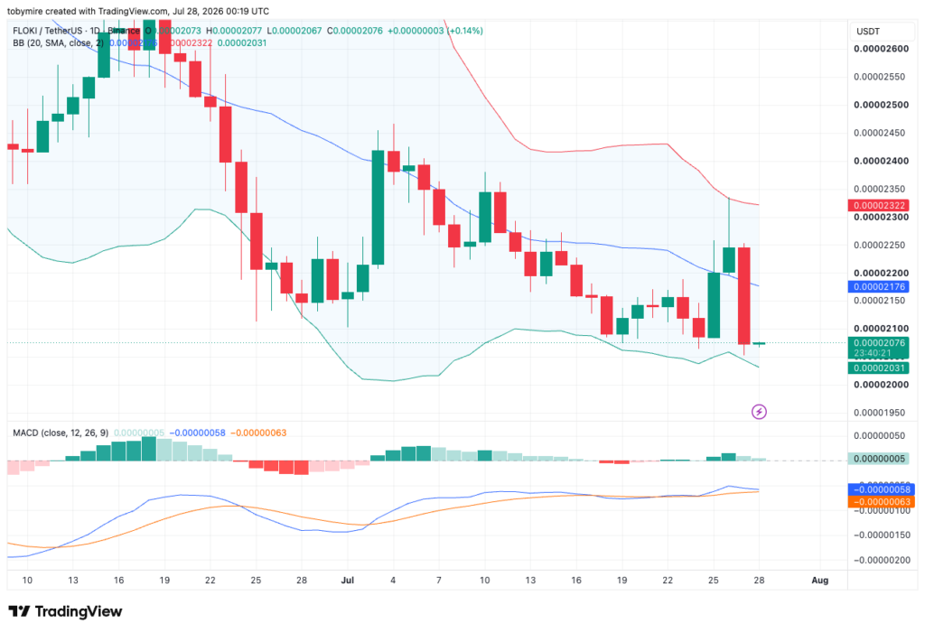 مخطط سعر FLOKIUSDT ليوم واحد من TradingView
