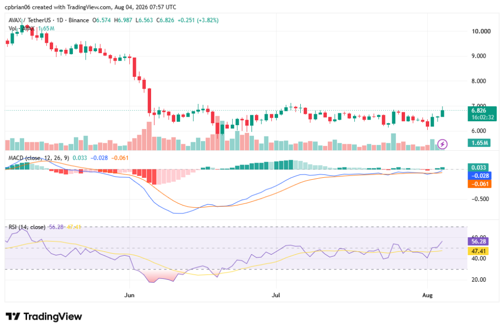 TradingView의 AVAXUSD 차트
