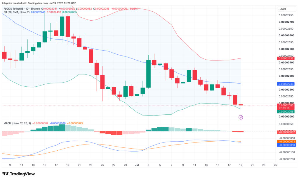 FLOKIUSDT 1-day price chart by TradingView