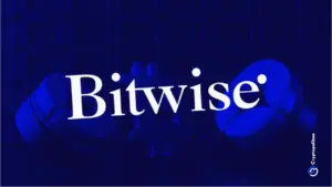 Bitwise taglia il 14% del personale, riducendo il suo team globale a 155 persone.