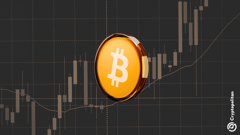 Bitcoin Reclaims Short-Term Holder Cost Basis as the Weekly Moving Average Holds at $81K