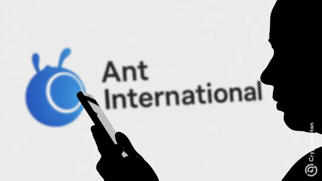 Ant's Falcon FX AI lands Citi, HSBC and StanChart