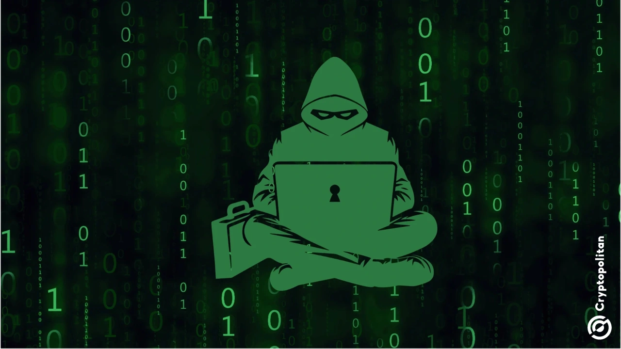 O token Avici cai a pique após hackers drenarem quase 1 milhão de dólares do neobanco Solana 