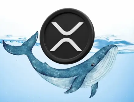 I grandi detentori XRP aggiungono 1,23 miliardi di token nonostante un crollo del prezzo del 43%
