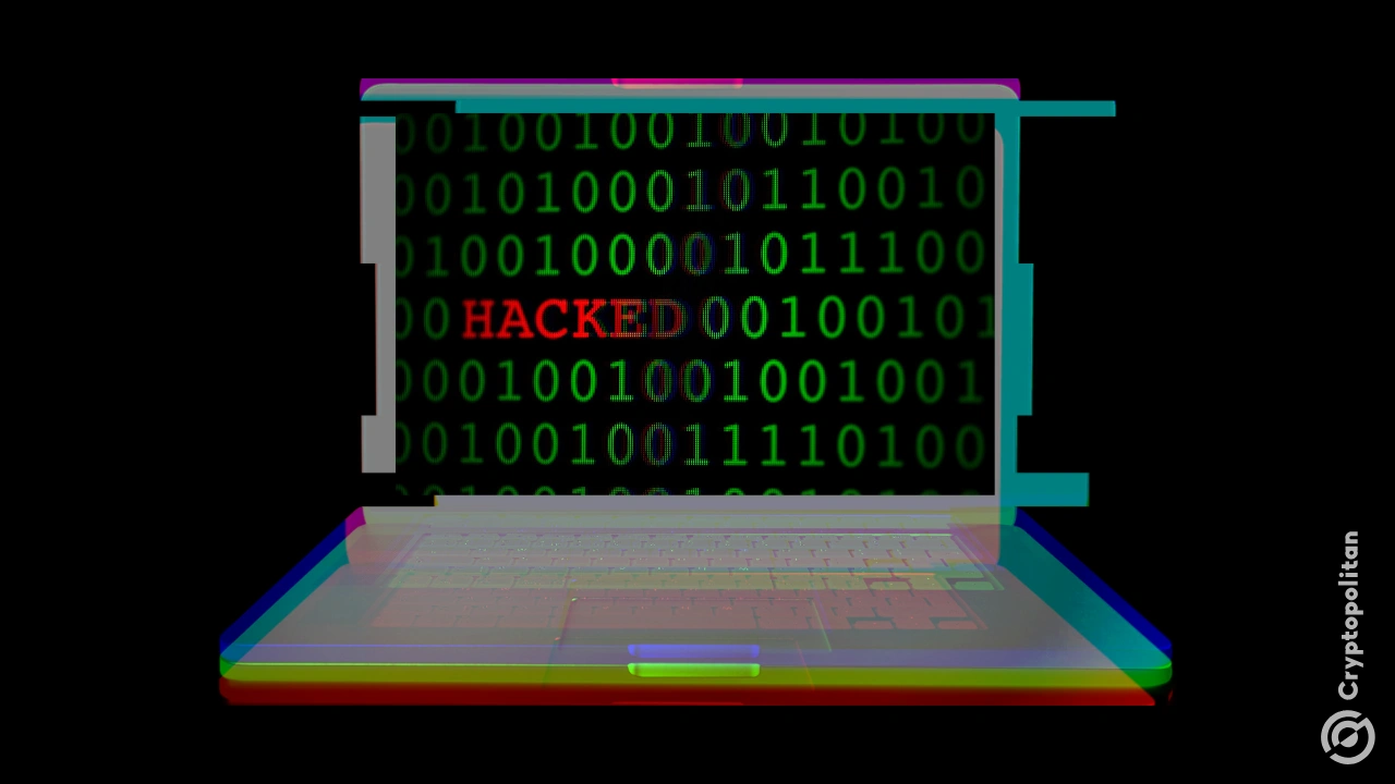 Un trader disposant d'un portefeuille de liquidités très important cède 550 000 $ en USDC après avoir cliqué sur le premier résultat sponsorisé de Google.