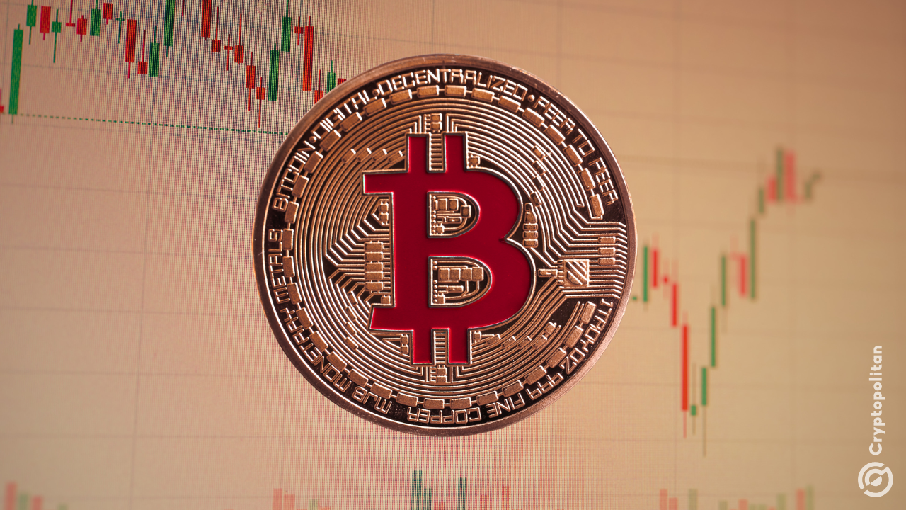 Os pagamentos Bitcoin estão praticamente extintos no Bitcoin Beach, relata um programador da Core.