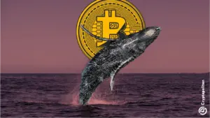 Dormant whale moves $1 billion in Bitcoin as market sits 50% below peak