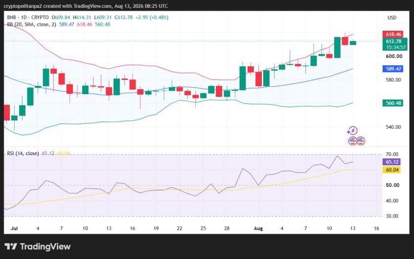 Однодневный ценовой график BNB/USD.