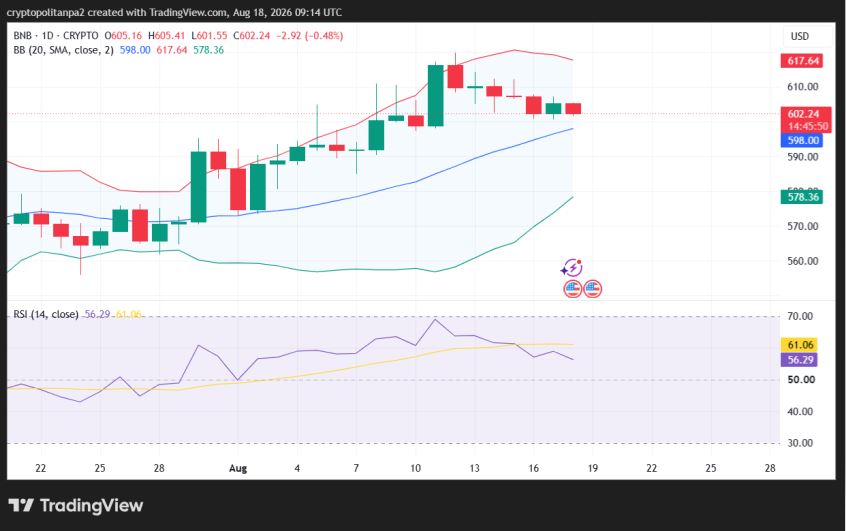 BNB/USD-Tageskursdiagramm.