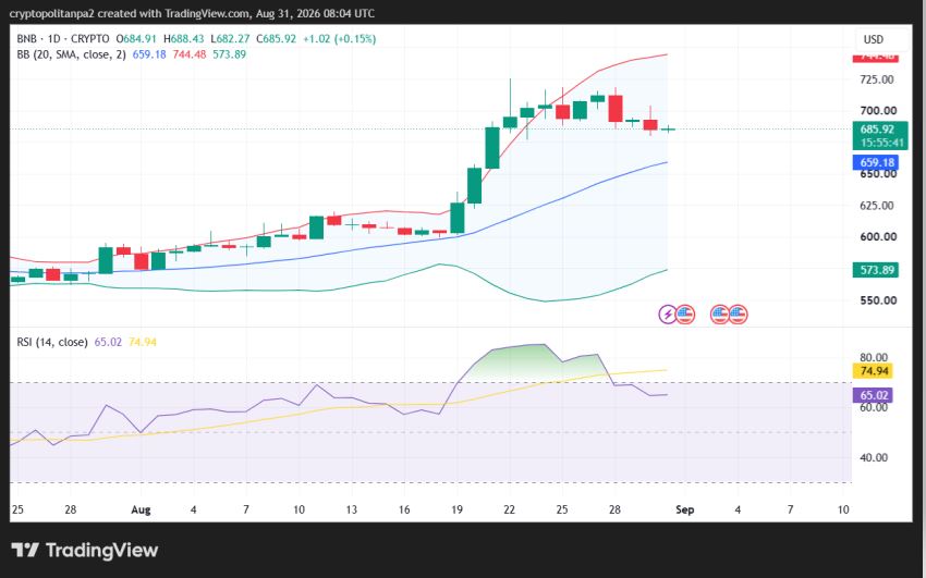 Grafico giornaliero del prezzo BNB/USD.