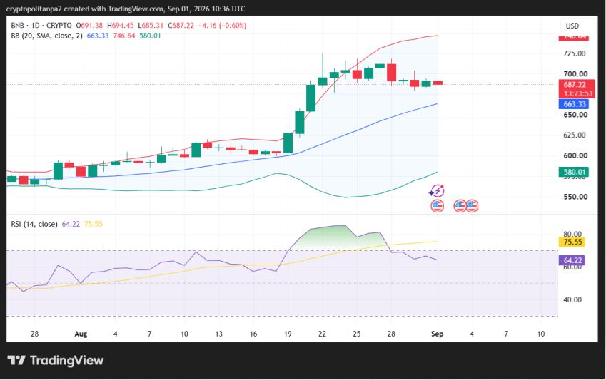 Gráfico de precios BNB/USD a 1 día.