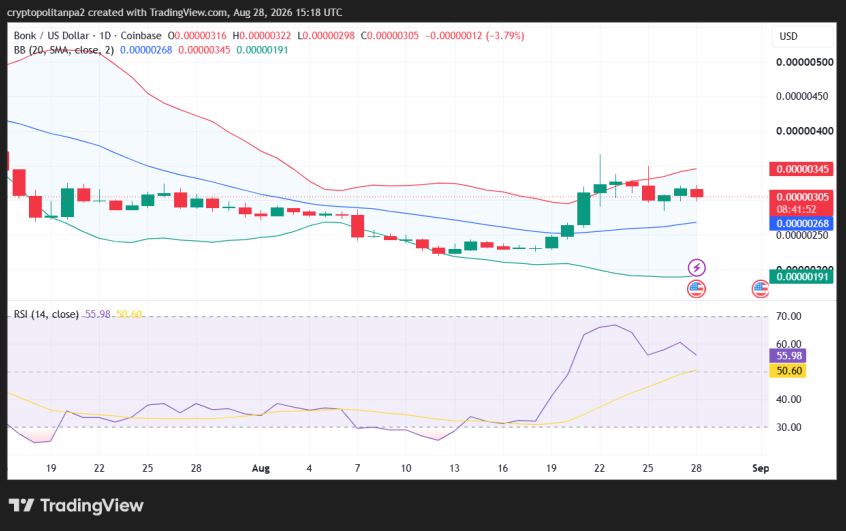 BONK/USD 1-day price chart.