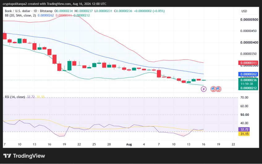 BONK/USD 1-day price chart.