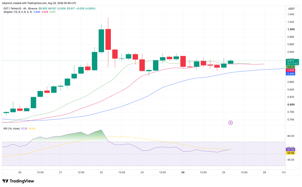 DOT/USDT Chart: TradingView