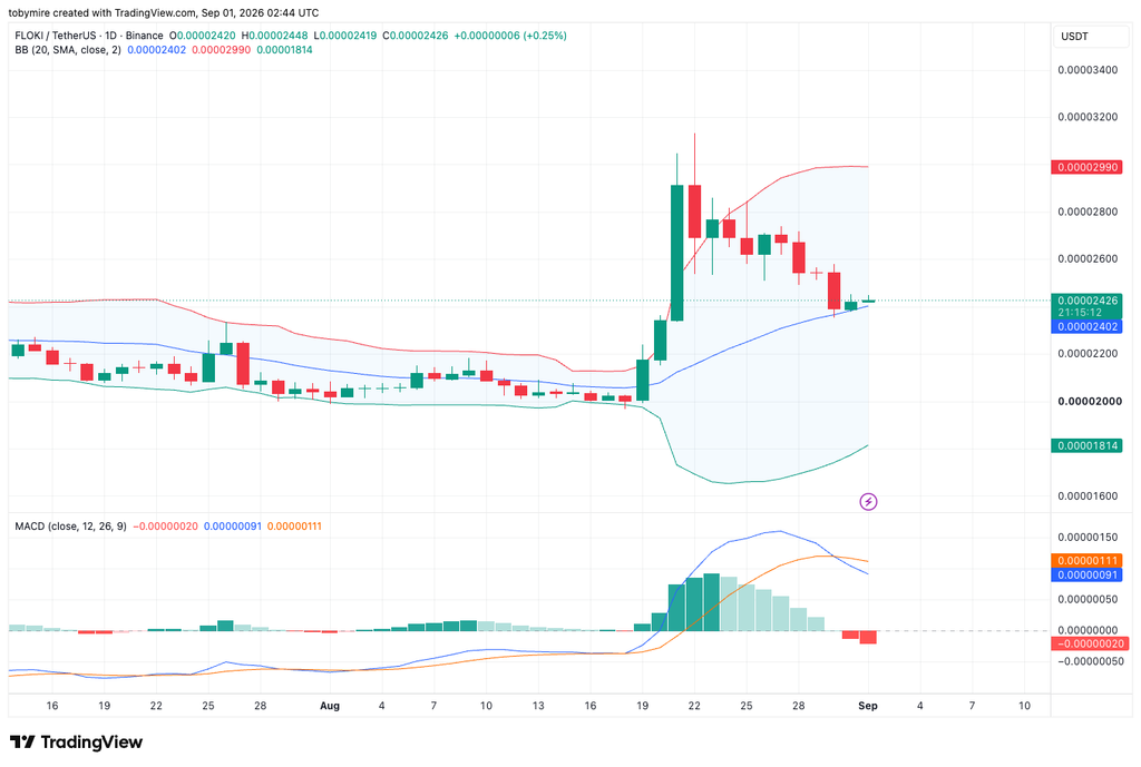 FLOKIUSDT 1-day price chart by TradingView
