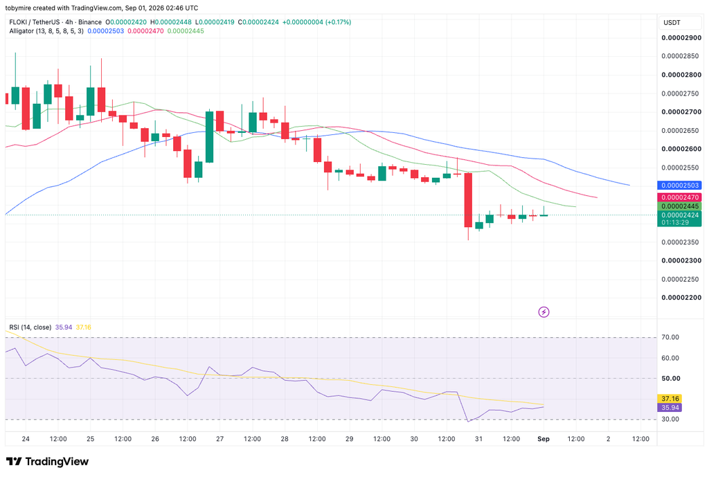 FLOKIUSDT 4-hour price chart by TradingView