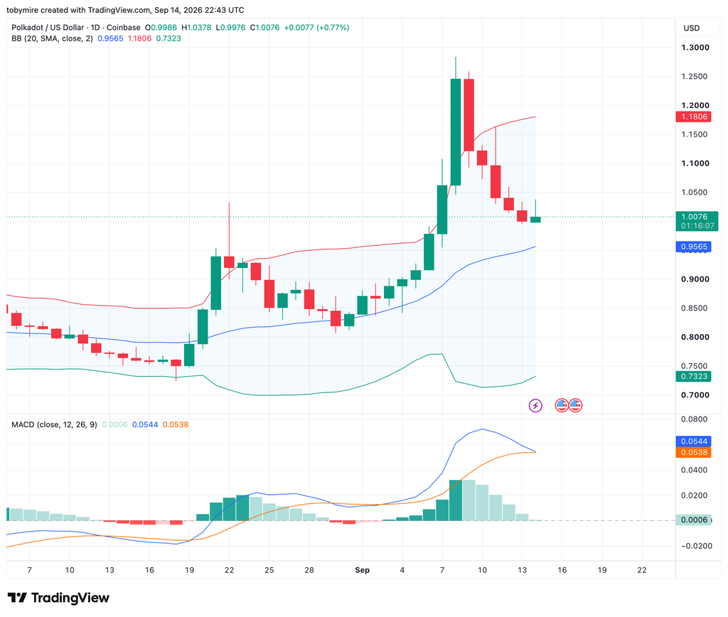 DOT/USDT 1-day price chart
