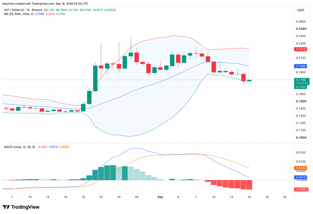 Tradingview에서 제공하는 WIFUSDT 1일 차트