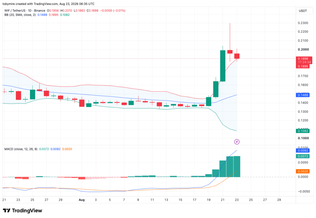 Дневной график WIFUSDT от Tradingview