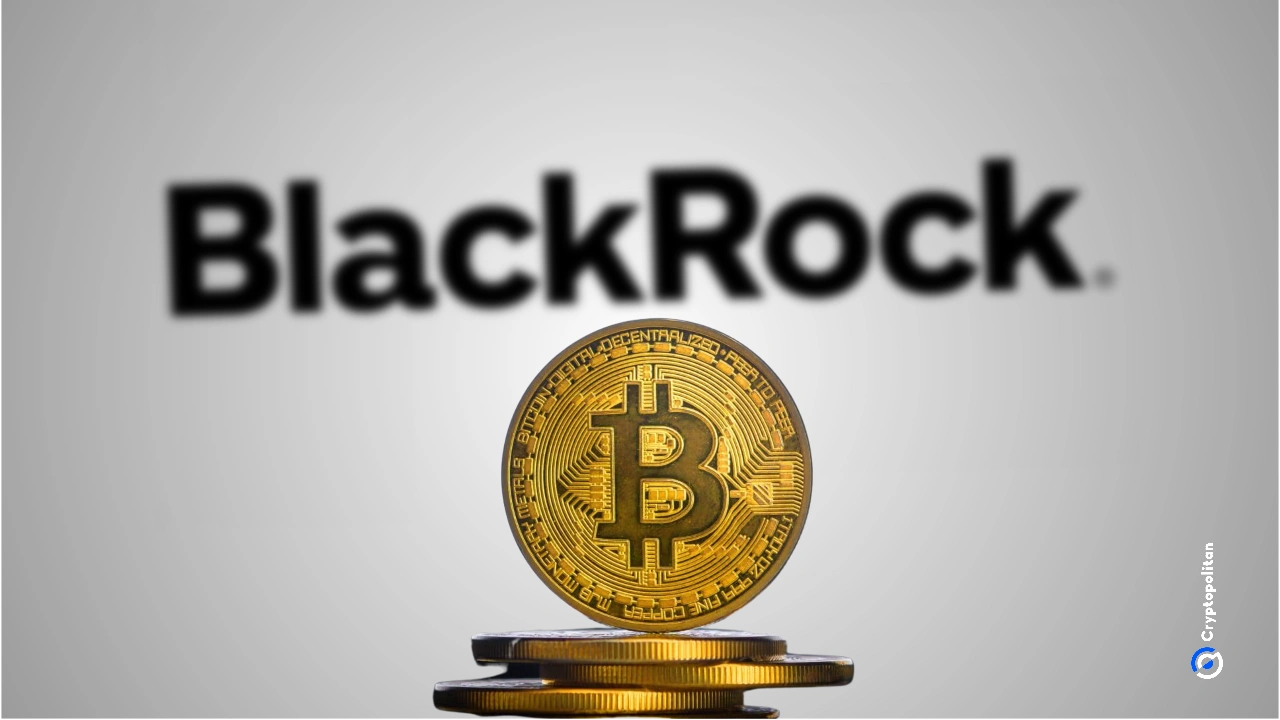 Bitcoin ETF assets neared $100 billion while the price slid below $80,000