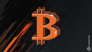 Bitcoin核心闪电网络告诉节点等待补丁,而不是关闭。.
