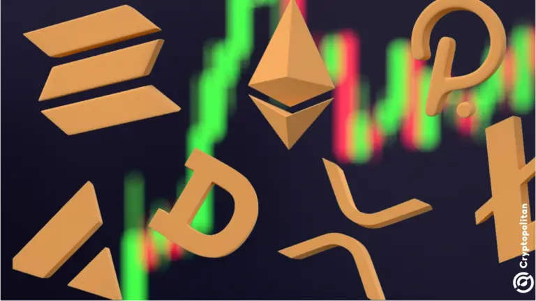¿Cuáles 22 tokens superaron el rendimiento Bitcoin en los últimos dos años?
