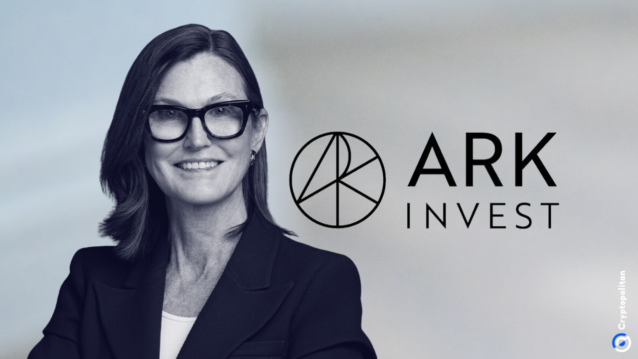 Cathie Wood adds to Circle and SpaceX positions as SpaceX shares tumble 13.6%