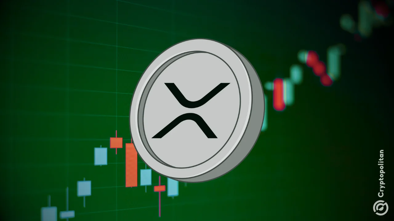 XRP ETFs stay positive again with $12.29M as BTC funds rack up outflows.