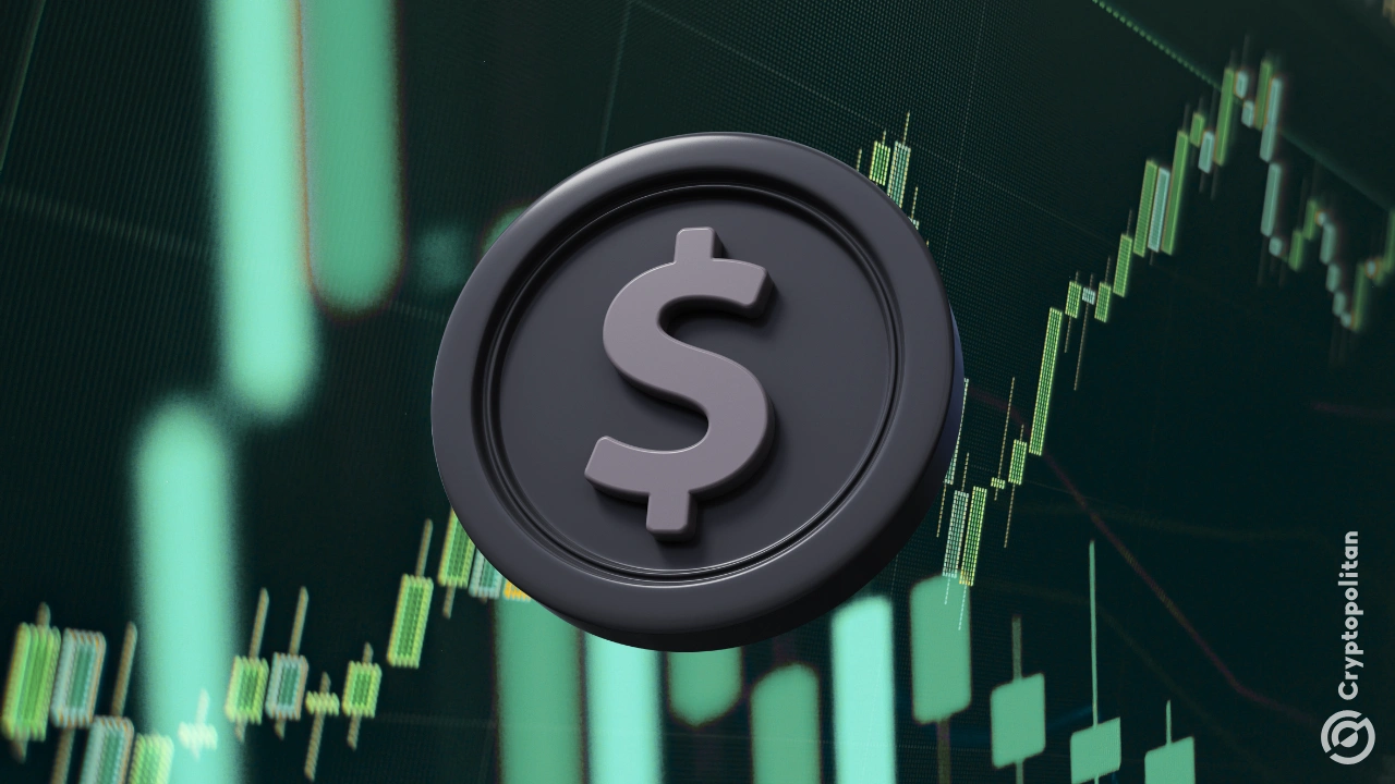 Crypto economic activity reached new records in Q3