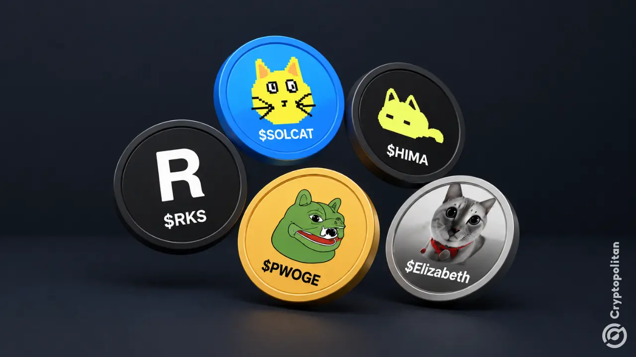 Did reflection tokens peak, or are they just starting out?