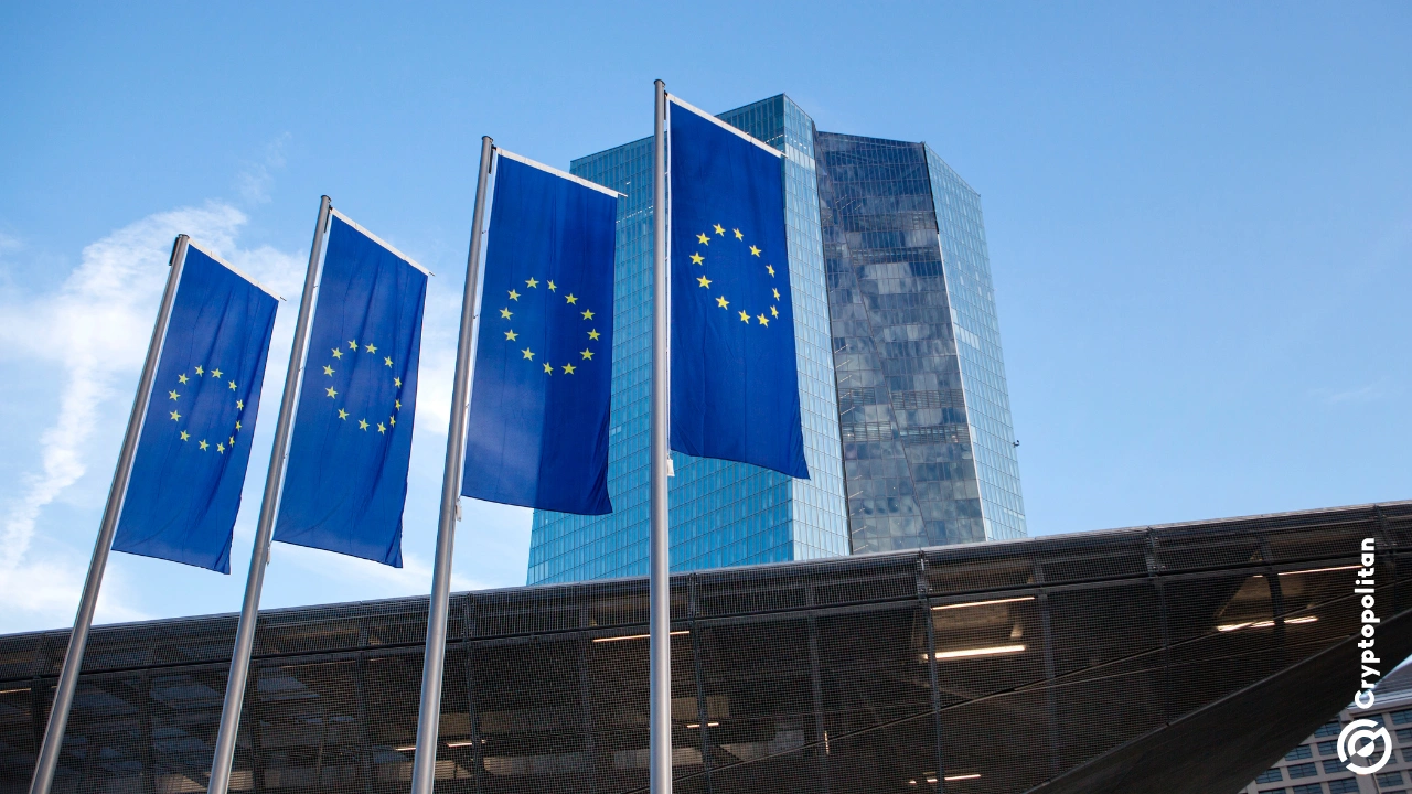 Google says EU search overhaul will hurt users and local businesses