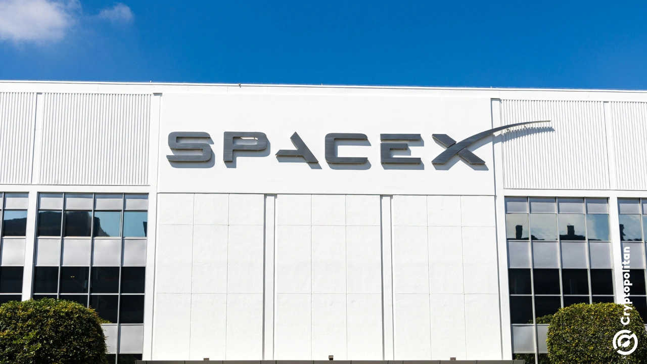 Musk names new AI chief at SpaceX amid data center leadership reshuffle