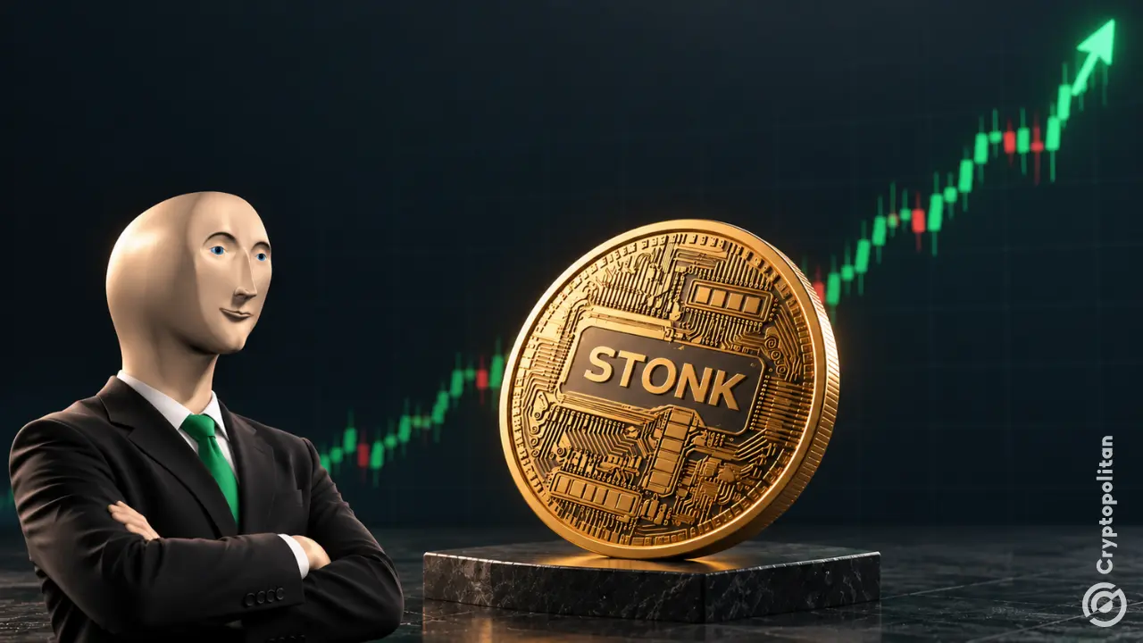 STONK hits new highs after erasing 27% crash