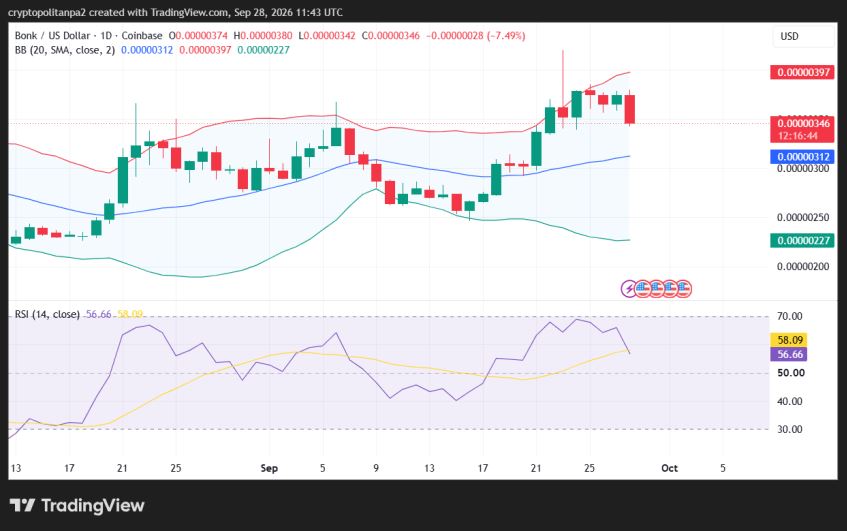 BONK/USD 1-day price chart.