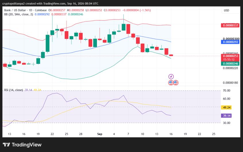 Однодневный ценовой график BONK/USD.