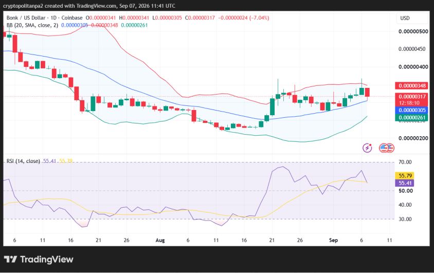 BONK/USD 1-Tages-Kursdiagramm.