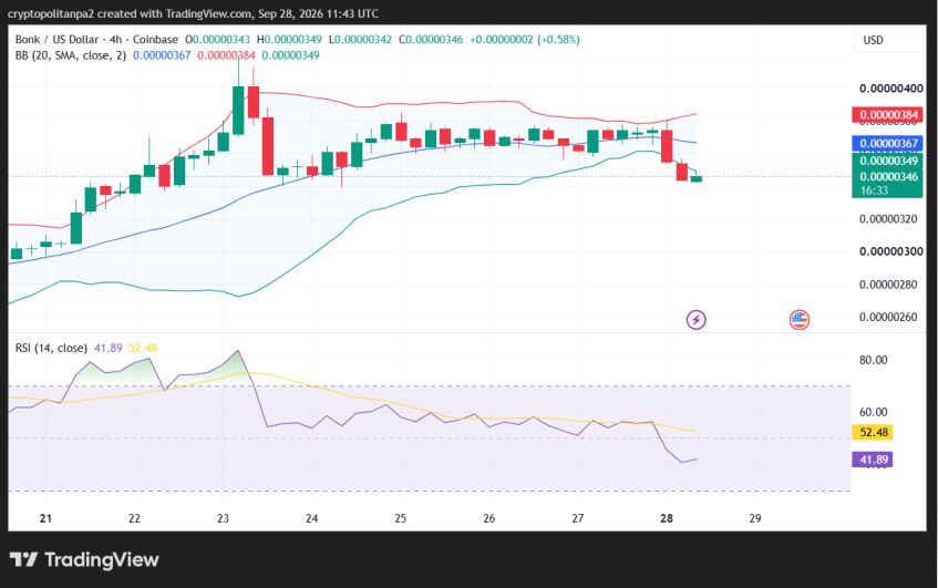 BONK/USD 4-hour price chart.