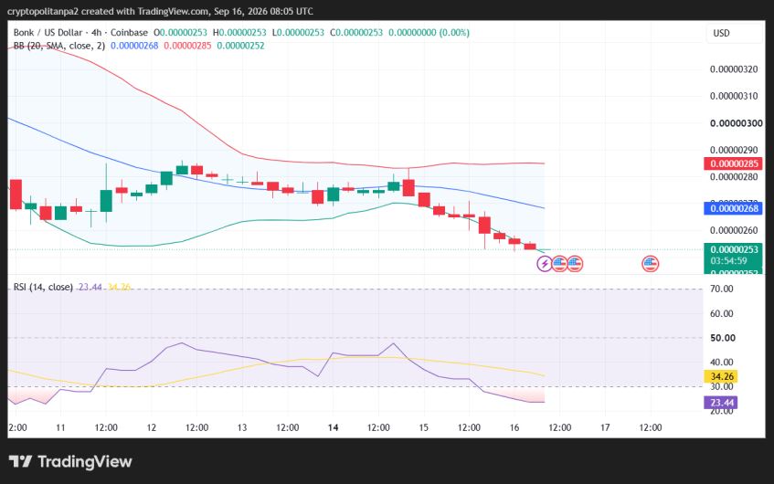 4-часовой график цены BONK/USD.