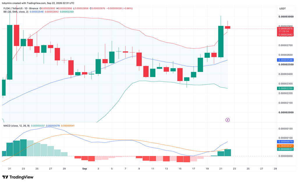 TradingViewによるFLOKIUSDTの1日価格チャート