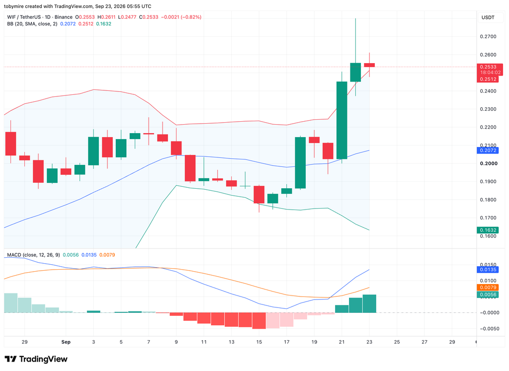 Graphique journalier WIFUSDT par TradingView