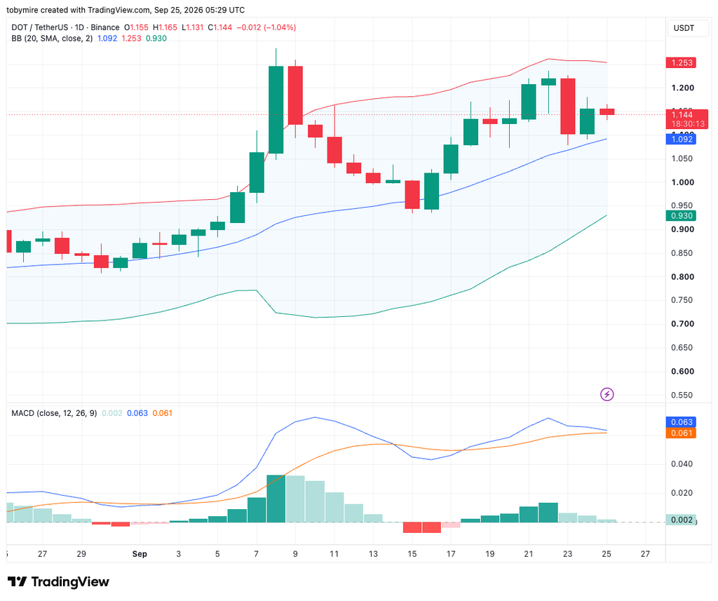 مخطط سعر DOT/USDT ليوم واحد