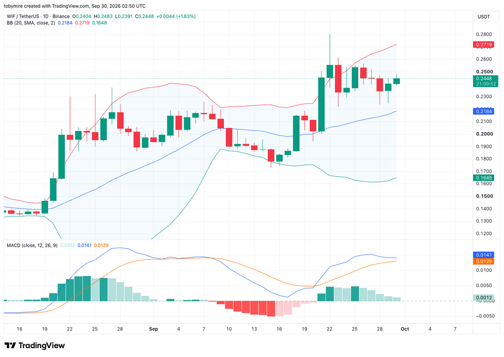 RUSDT 1-day chart by Tradingview