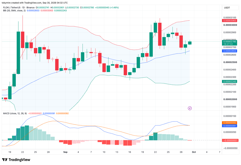 TradingView提供的FLOKIUSDT一日价格图表