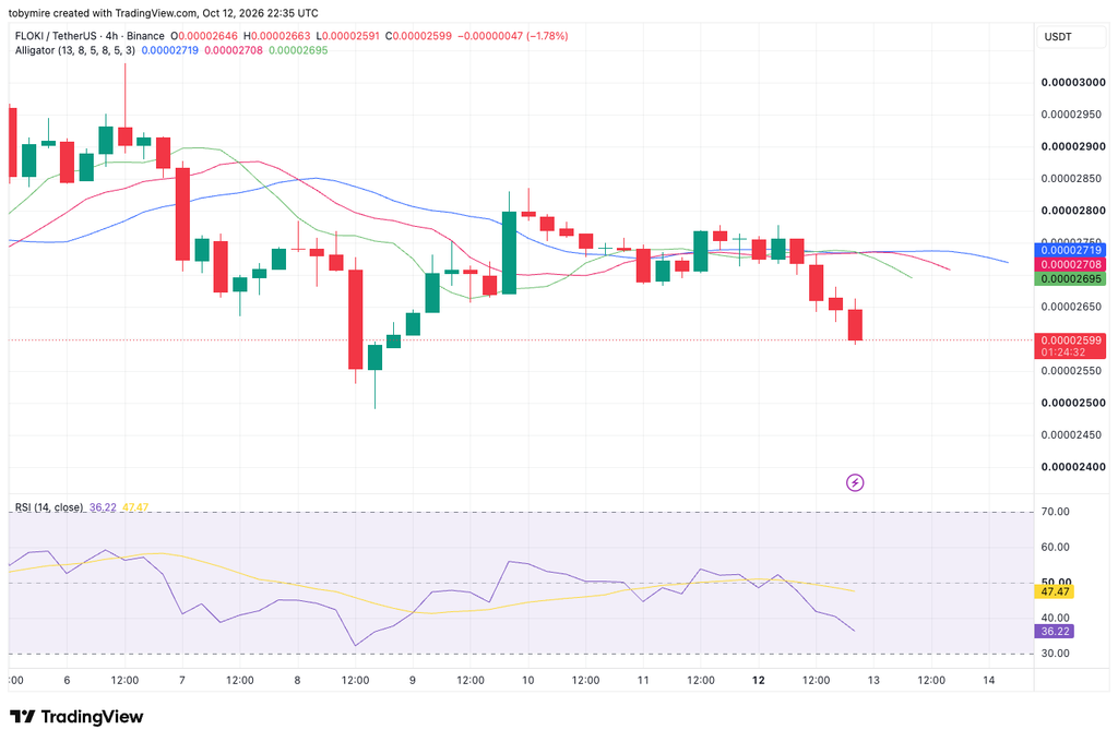 FLOKIUSDT 4-hour price chart by TradingView