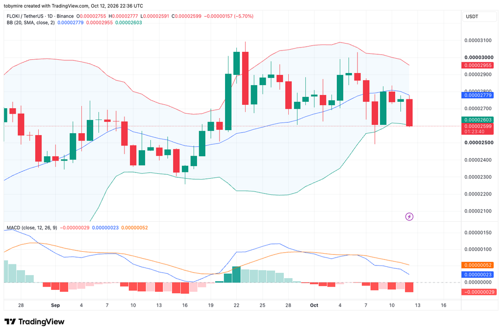 FLOKIUSDT 1-day price chart by TradingView