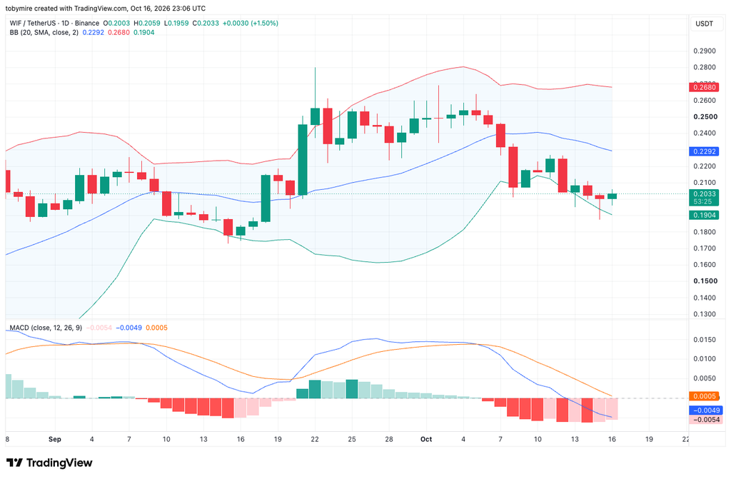 WIFUSDT 1-day chart by Tradingview