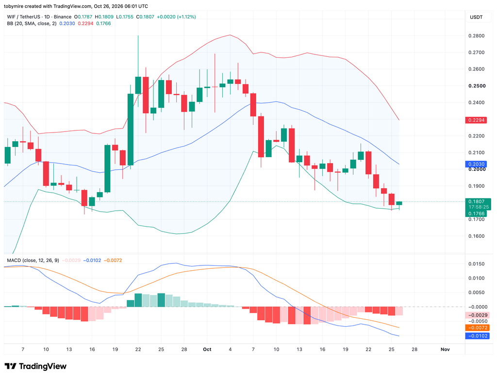 WIFUSDT 1-day chart by Tradingview