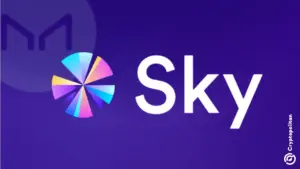 Moody'sがSky ProtocolにB3格付けを実施、S&Pのジャンク格付けを踏襲