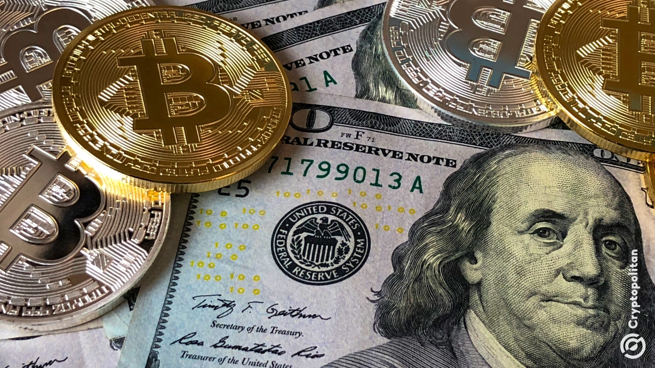 Strive outbuys Strategy 6-to-1 as it chases No. 2 Bitcoin treasury spot