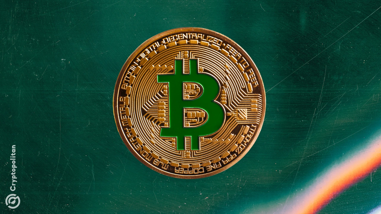 Le balene offrono supporto al BTC appena sotto $80,000